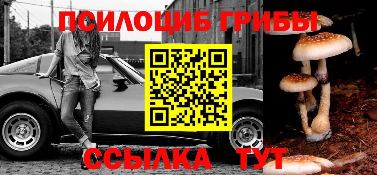 Галлюциногенные грибы Psilocybe  Вход с VPN  Магадан  Галлюциногенные грибы Magic Shrooms 